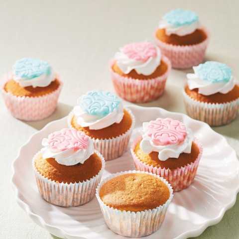 FunCakes Mix pour Cupcakes 1kg